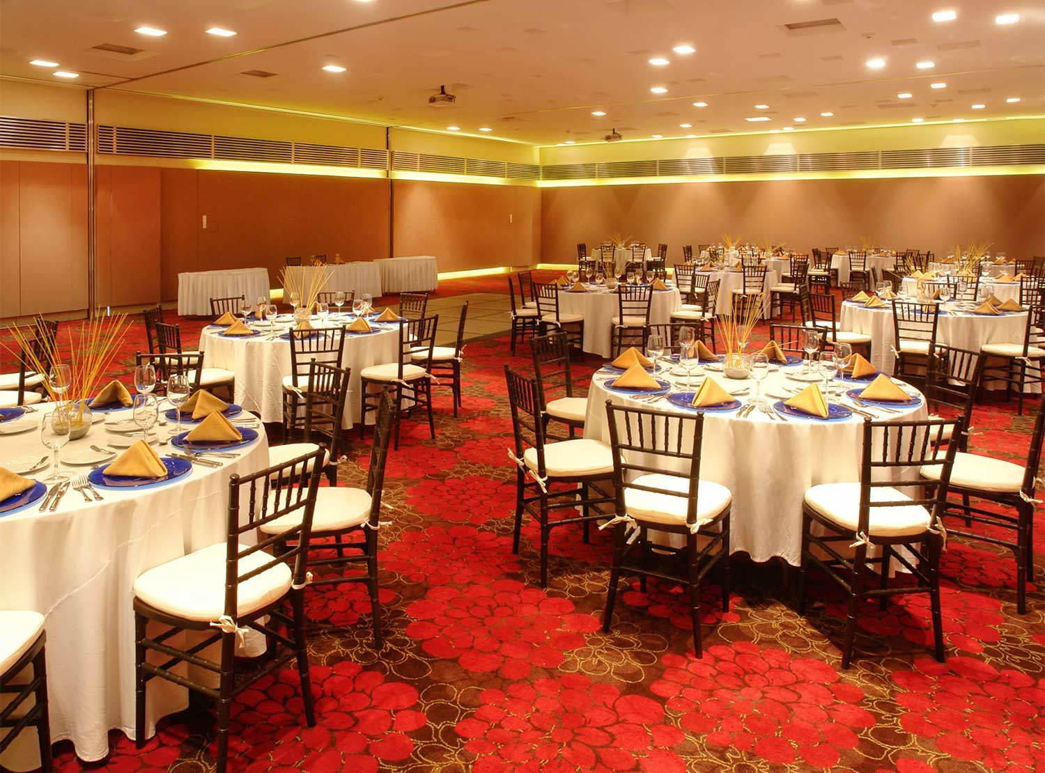 Hotel Emporio Ixtapa Ixtapa  Exterior foto The ballroom of the hotel